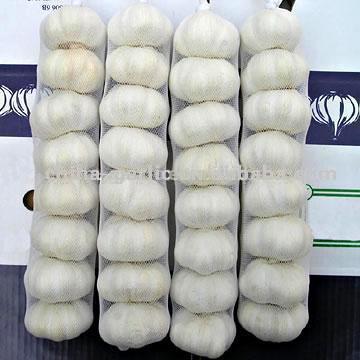 China Knoblauch (China Knoblauch)