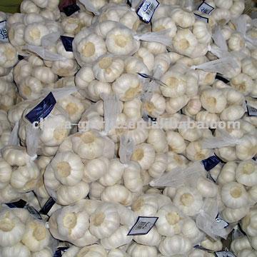 Chinese Garlic (Chinesischem Knoblauch)