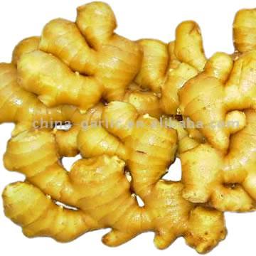 Chinese Ginger (Chinesischer Ingwer)