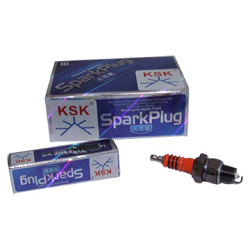  Spark Plug ( Spark Plug)