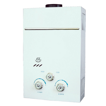  Gas Water Heater (Flue Type) (Gas-Wasser-Heizung (Flue-Typ))