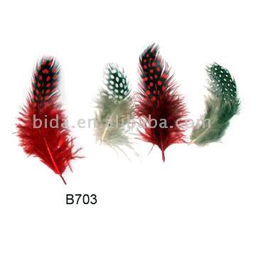  Feather ()