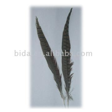  Pheasant Feather (Фазан Перу)