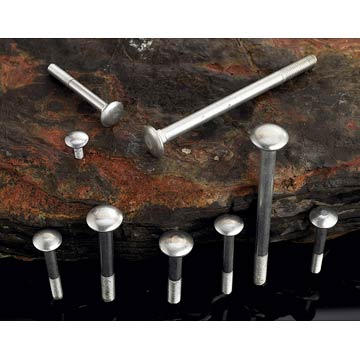  Carriage Bolts (Carriage Bolts)