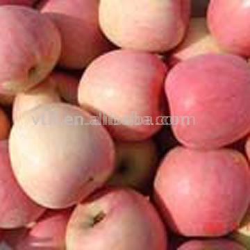  Fuji Apples (Pommes Fuji)