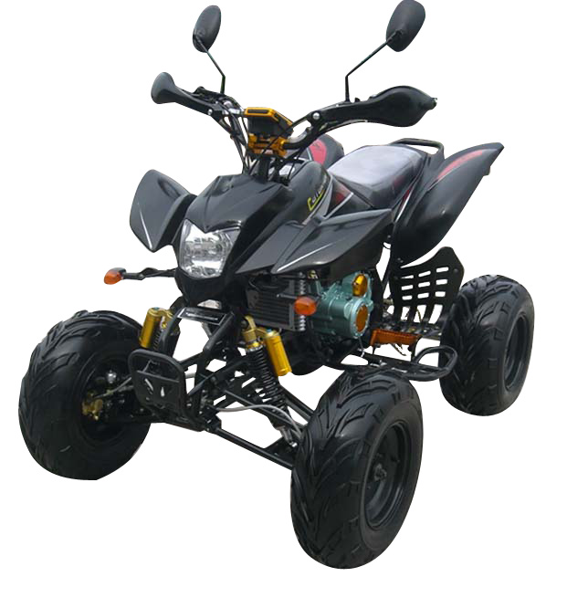 250CC/200CC EWG ATV (250CC/200CC EWG ATV)