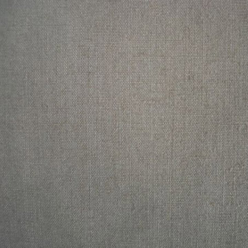  100% Cotton Poplin (Solid Dyed) (100% хлопок Поплин (Solid окрашенная))