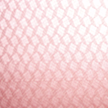 Oxford Fabric (Oxford Fabric)