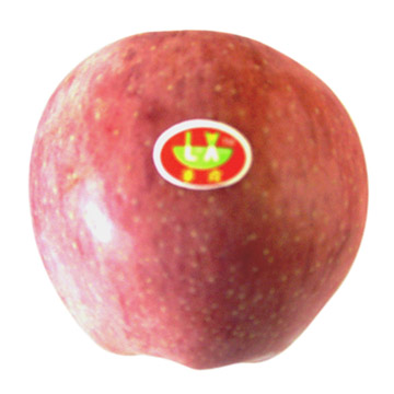  Red Star Apple (Red Star Apple)