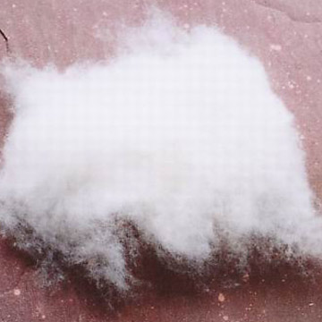  Polyester Hollow Fiber (Polyester Hollow Fiber)