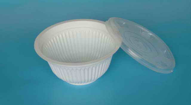 Kunststoff-Food Container (Kunststoff-Food Container)