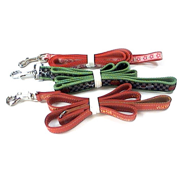  Dog Leashes