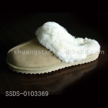  Slipper ( Slipper)