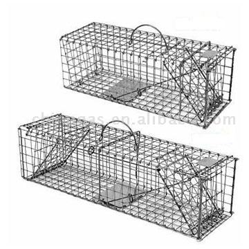  Collaspible Live Animal Box Traps ( Collaspible Live Animal Box Traps)