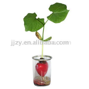  Magic Heart in Transparent Plastic Can ( Magic Heart in Transparent Plastic Can)