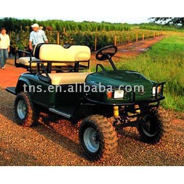  Gas Golf Cart (Gas Golf Cart)