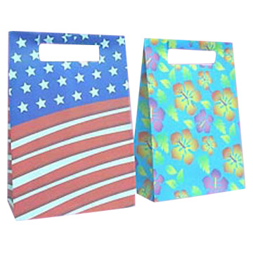  PP Shopping Bags (PP Shopping Bags)