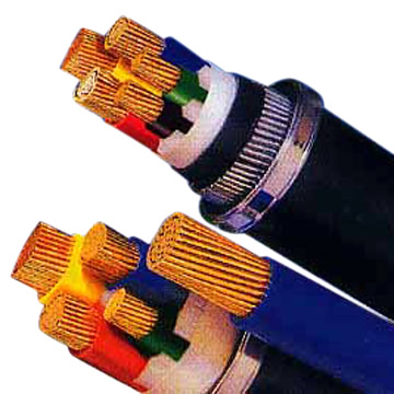 Power Cable (Power Cable)