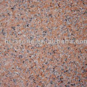  Granite Paving Slab (Paving dalle de granit)