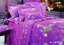  Embroidered and Printed Bedding Set (Brodés et imprimés Taies)