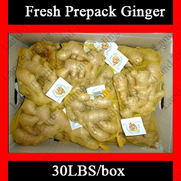  Fresh Ginger (Prepacked) ( Fresh Ginger (Prepacked))