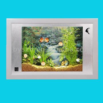  Mini Aquarium ( Mini Aquarium)