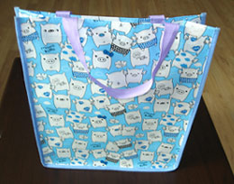 Non-Woven Bag (Non-Woven Bag)