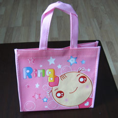 Non-Woven Bag (Non-Woven Bag)