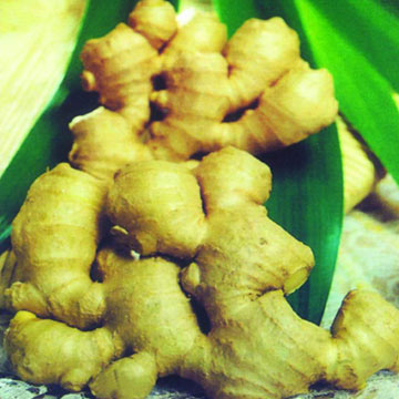  Fresh Ginger (Свежий имбирь)