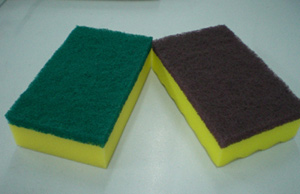  Sponge Scourer (Eponge récurer)