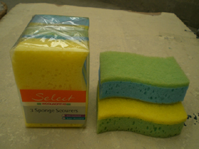  Sponge Scourer (Eponge récurer)