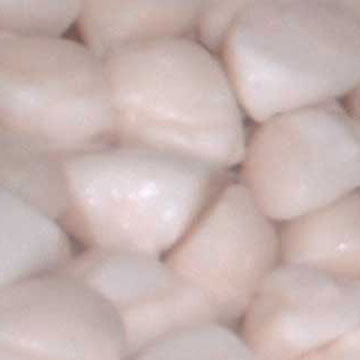  Frozen Boiled Scallop Adductors (Замороженные вареные гребешки сведения)