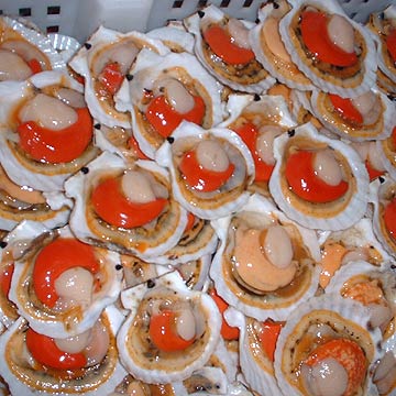  Frozen Half Shell Scallops (Замороженных полуфабрикатов Shell Гребешки)