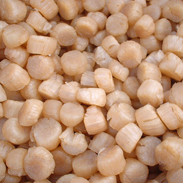  Dried Scallops (Getrocknete Jakobsmuscheln)