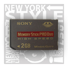  CF Digital Memory Card ( CF Digital Memory Card)