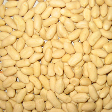  Blanched Kernels (Décortiquées blanchies)