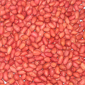 Vier Kerneled Peanuts mit roter Haut, (Vier Kerneled Peanuts mit roter Haut,)