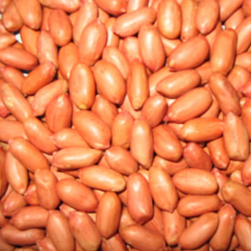  Roasted Peanuts with Red Skin (Arachides rôties avec Red Skin)