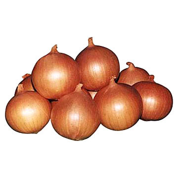  Fresh Onions (Лука)