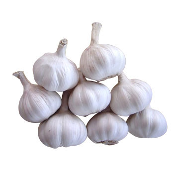  White Garlic (Ail blanc)