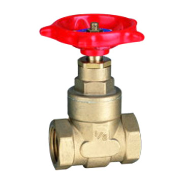  Brass Gate Valve (Brass Gate Valve)