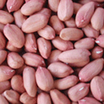  Peanut Kernels (Ядра арахиса)