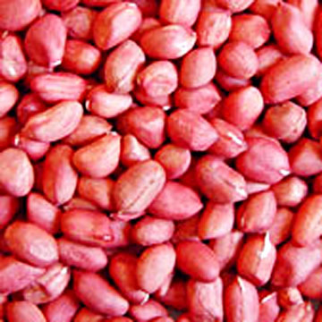  Round Dark Red Skin Peanut Kernels