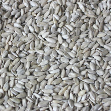 Hulled Sunflower Seed Kernels (Hulled ядра подсолнечника)