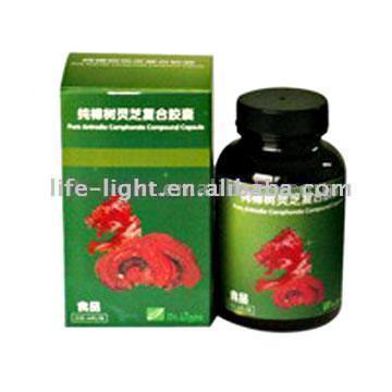  Pure Antrodia Camphorate Compound Capsule