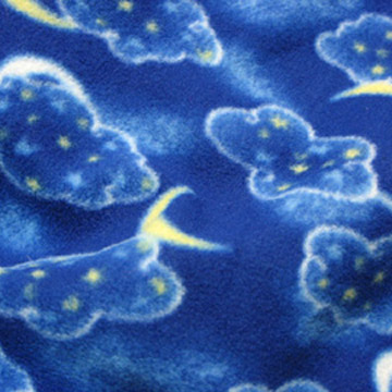  100% Polyester Polar Fleece Printed Fabric (100% Polyester Polar Fleece Printed Fabric)