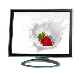  15" LCD Monitor ( 15" LCD Monitor)