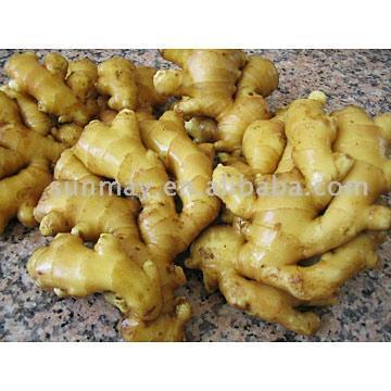  Fresh Ginger (Small Size) ( Fresh Ginger (Small Size))