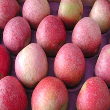  Qin-Guan Apples