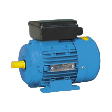  Single Phase Capacitor Start Motor ( Single Phase Capacitor Start Motor)